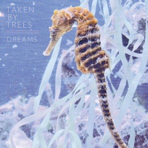 TAKEN BY TREES - DREAMS EP 55688