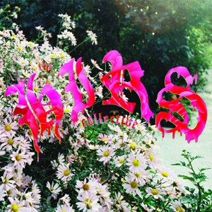 HIRS COLLECTIVE, THE - FRIENDS. LOVERS. FAVORITES.(PINK VINYL) 123884