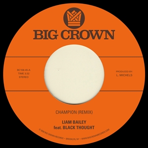 BAILEY, LIAM - CHAMPION (REMIX) / UGLY TRUTH (REMIX) 144522