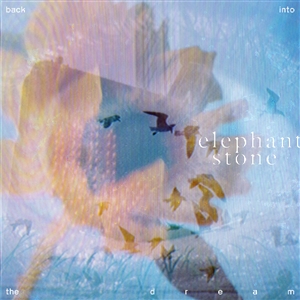 ELEPHANT STONE - BACK INTO THE DREAM (CLEAR VINYL) 163557