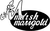 MARSH-MARIGOLD RECORDS
