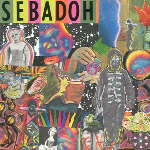 SEBADOH - SMASH YOUR HEAD ON THE PUNK ROCK 19238