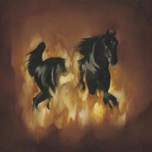 BESNARD LAKES, THE - ARE THE DARK HORSE 30112