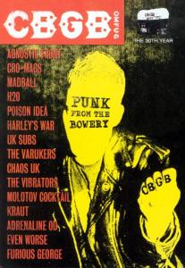 VARIOUS - CBGB - PUNK FROM THE BOWERY 30582