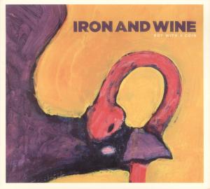 IRON AND WINE - BOY WITH A COIN +2 30919