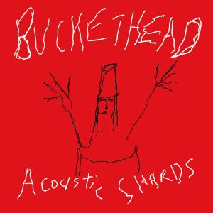 BUCKETHEAD - ACOUSTIC SHARDS 33135