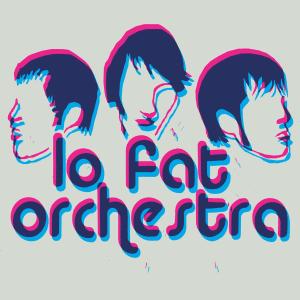 LO FAT ORCHESTRA - QUESTIONS FOR HONEY 40327