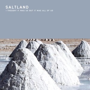 SALTLAND - I THOUGHT IT WAS US BUT IT WAS ALL OF US 61230