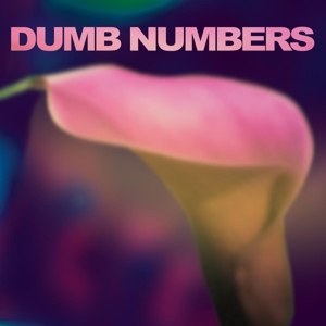 DUMB NUMBERS - DUMB NUMBERS 63103