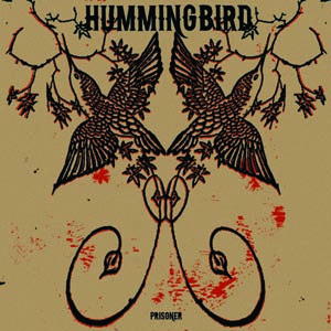 HUMMINGBIRD - PRISONER 75085
