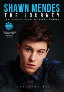 MENDES, SHAWN - THE JOURNEY 91473