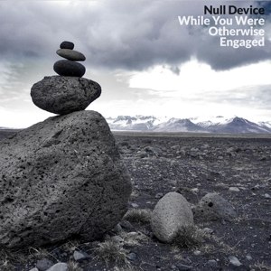 NULL DEVICE - WHILE YOU WERE OTHERWISE ENGAGED 101094