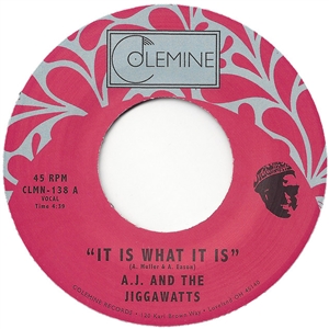 AJ & THE JIGGAWATTS - IT IS WHAT IT IS / PARTY MUSIC 128015