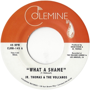 THOMAS, JR. & THE VOLCANOS - WHAT A SHAME / BRIAN WILSON 128021