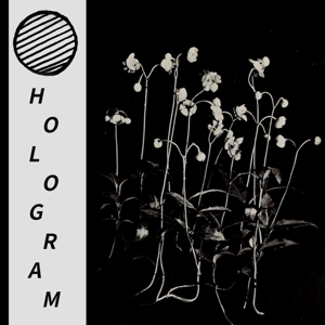 HOLOGRAM - BUILD YOURSELF UP SO MANY TIMES ONLY TO BE BROUGHT 129051