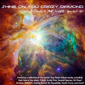 VARIOUS - SHINE ON YOU CRAZY DIAMOND: A TRIBUTE TO PINK FL0Y 129963