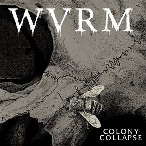 WVRM - COLONY COLLAPSE (PURPLE W/ GOLD SPLATTER) 143975