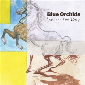 BLUE ORCHIDS - SPEED THE DAY 146556