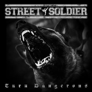 STREET SOLDIER - TURN DANGEROUS 147222