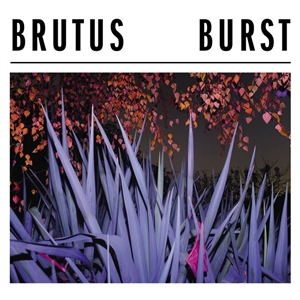 BRUTUS - BURST 148066