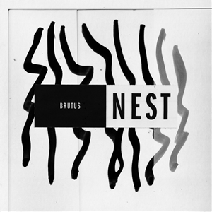 BRUTUS - NEST 148121