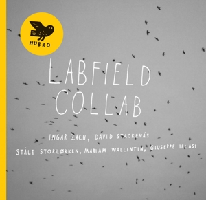 LABFIELD - COLLAB 148801