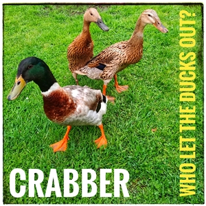 CRABBER - WHO LET THE DUCKS OUT? 148989