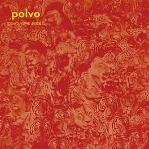 POLVO - TODAY'S ACTIVE LIFESTYLES 153610