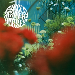 PULLED APART BY HORSES - THE HAZE (2022 REPRESS) 155572