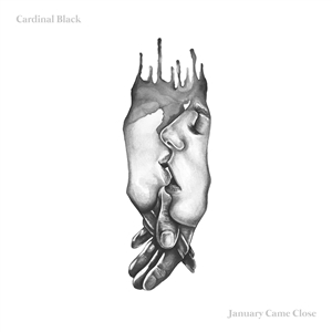 CARDINAL BLACK - JANUARY CAME CLOSE 155583