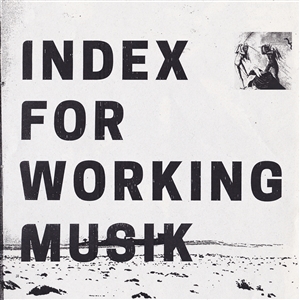 INDEX FOR WORKING MUSIK - DRAGGING THE NEEDLEWORK FOR THE KIDS AT UPHOLE 156446
