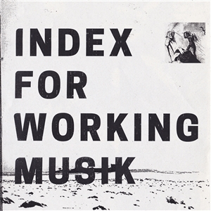INDEX FOR WORKING MUSIK - DRAGGING THE NEEDLEWORK FOR THE KIDS AT UPHOLE 156447