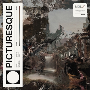 MOLLY - PICTURESQUE 156550