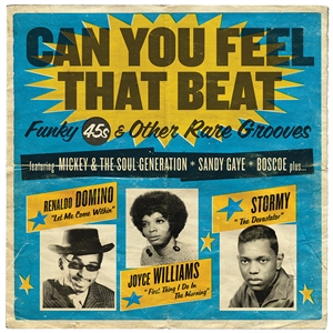 VARIOUS - CAN YOU FEEL THAT BEAT 156722