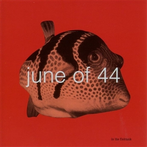 JUNE OF 44 - IN THE FISHTANK 6 157502