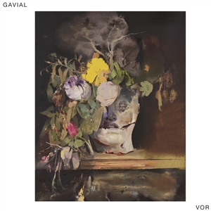 GAVIAL - VOR 158515