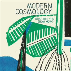 MODERN COSMOLOGY - WHAT WILL YOU GROW NOW? 158779