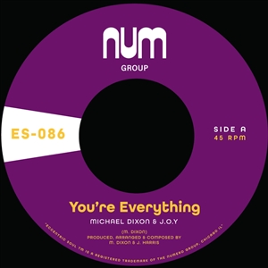 DIXON, MICHAEL A. & J.O.Y - YOU'RE EVERYTHING B/W YOU'RE ALL I NEED 159331