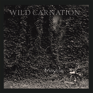 WILD CARNATION - TRICYCLE 159365