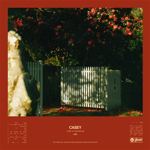 CASEY - HOW TO DISAPPEAR 161468