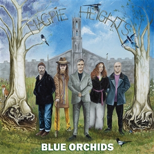 BLUE ORCHIDS - MAGPIE HEIGHTS 161726