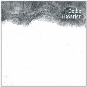 DELBO - HAVARIEN 163111