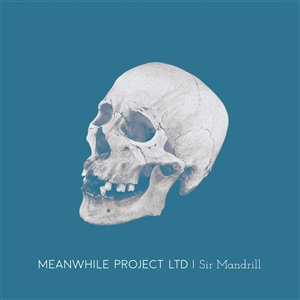 MEANWHILE PROJECT LTD - SIR MANDRILL 163370