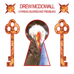 MCDOWALL, DREW - A THREAD, SILVERED AND TREMBLING 163707